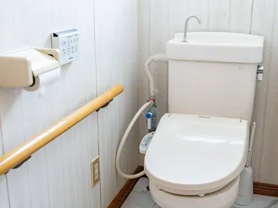 トイレのプル